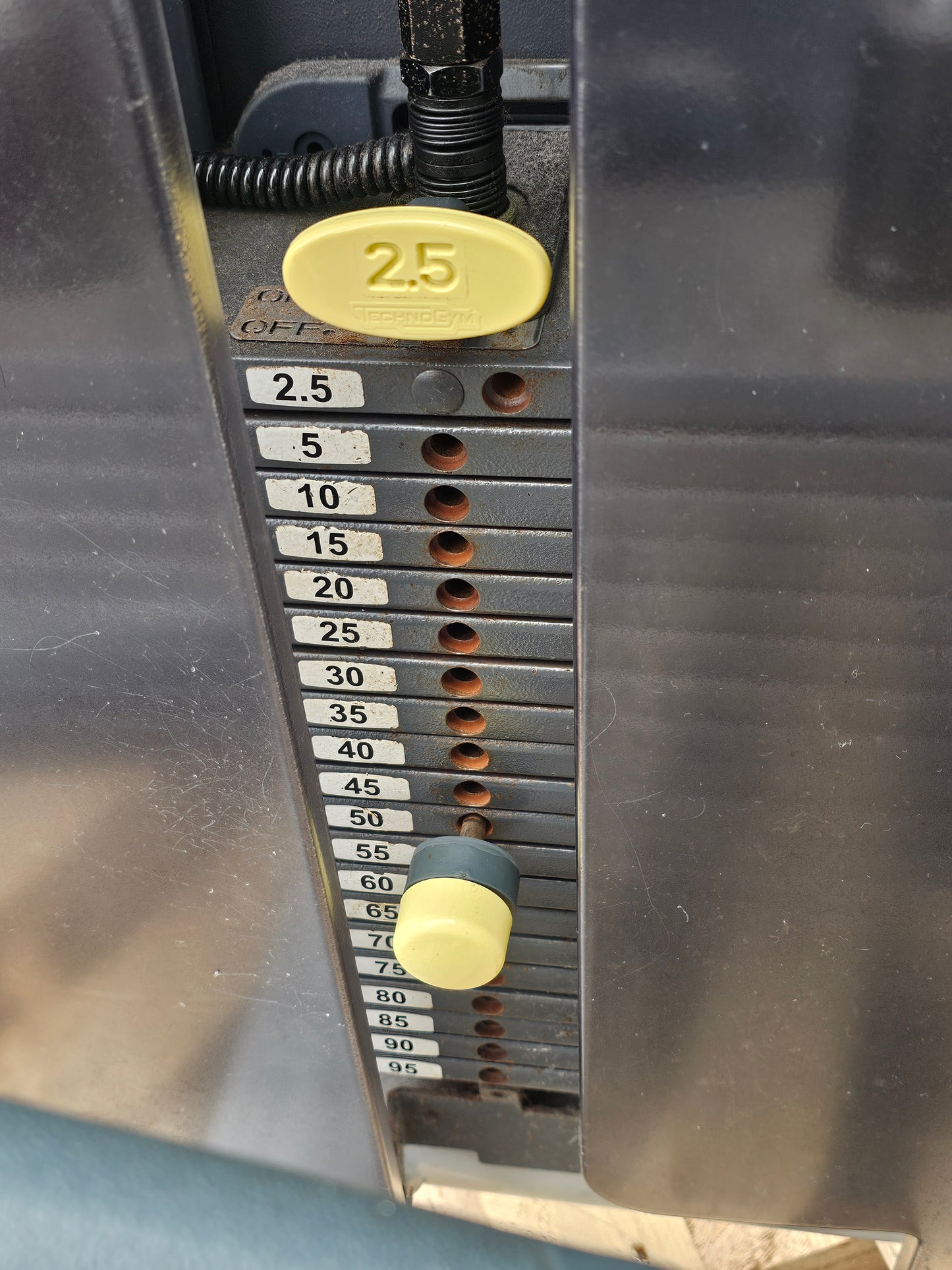Technogym Selection Leg Curl - Complete Gyms