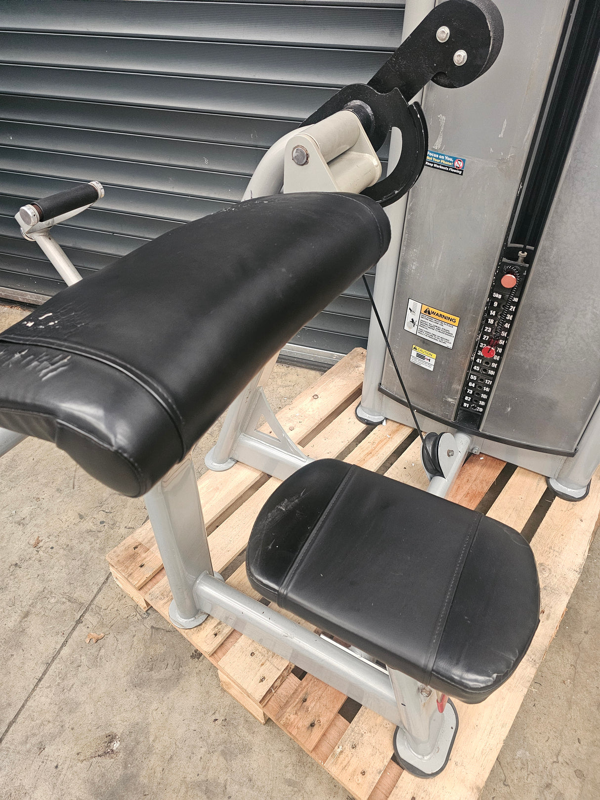 Freemotion Bicep Curl