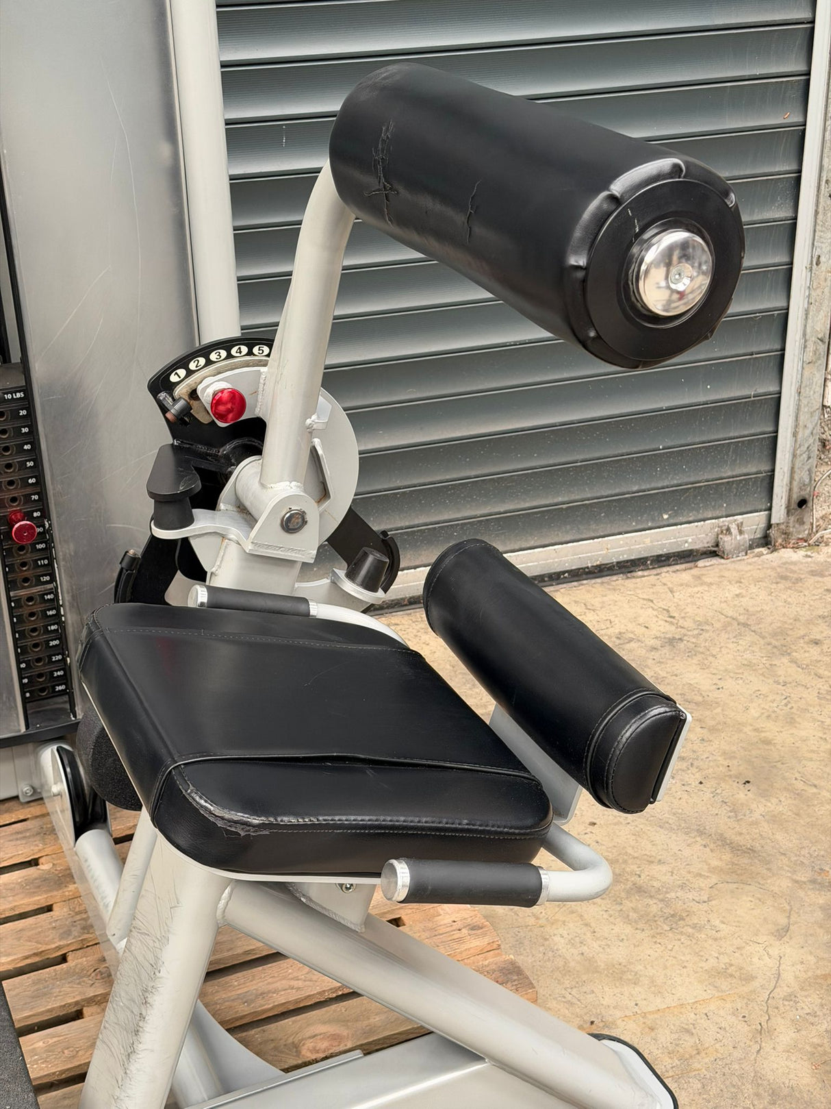 Freemotion Back Extension