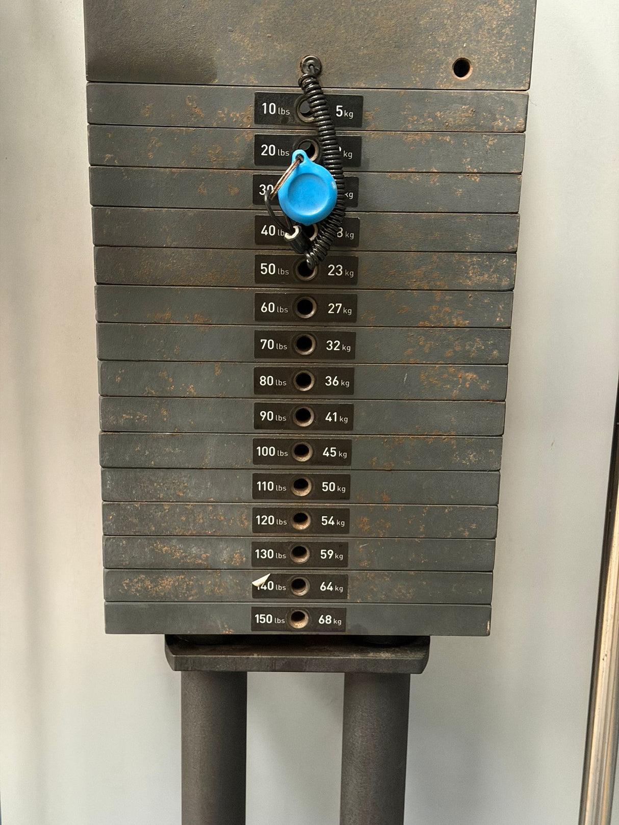 Precor Assisted Chin & Dip
