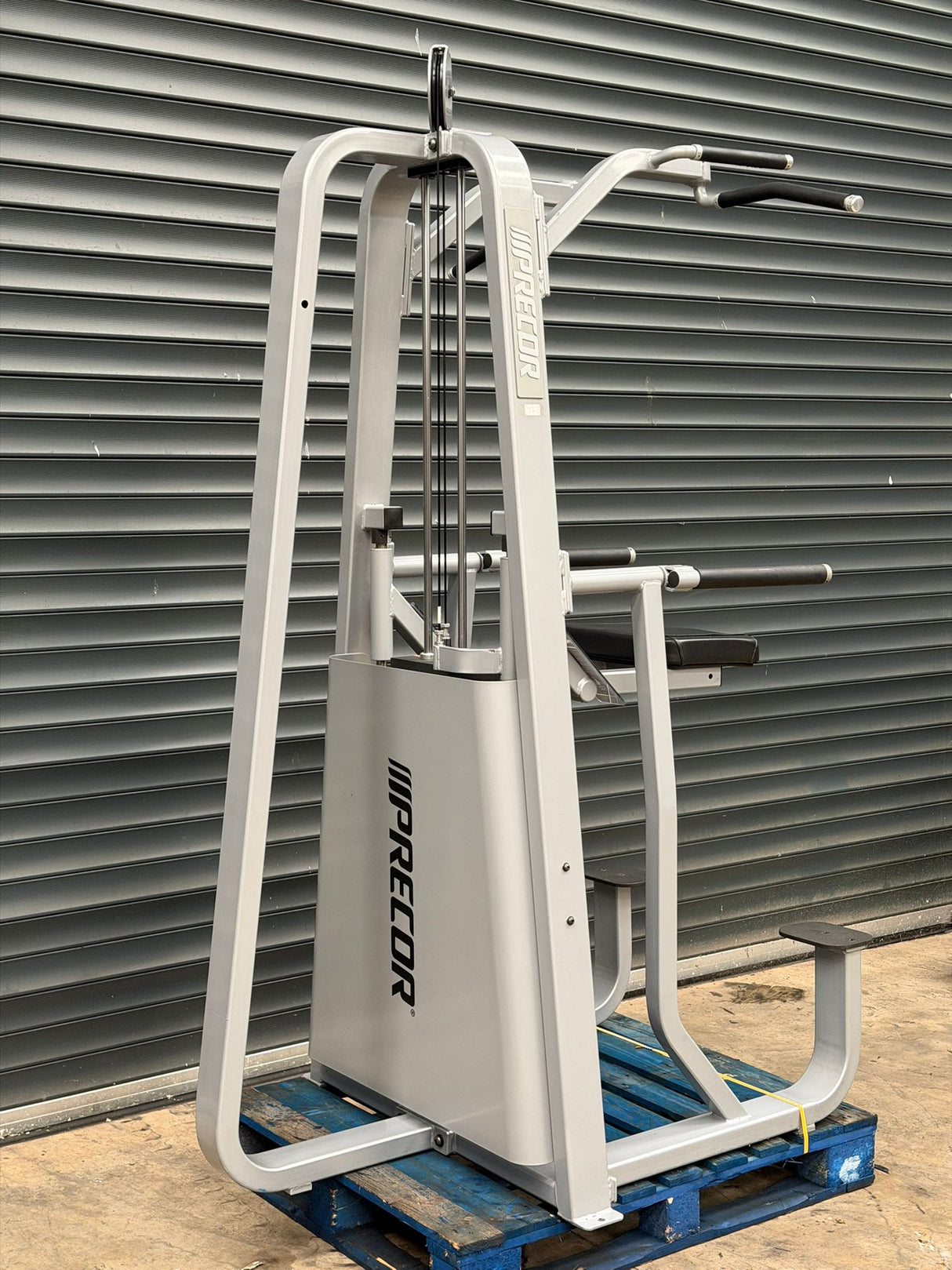 Precor Assisted Chin & Dip