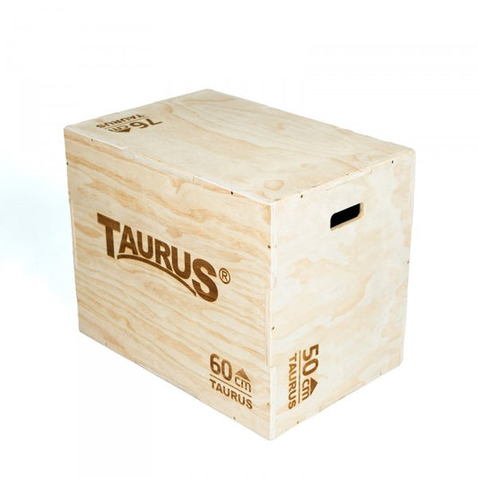 Taurus Gym Equipment