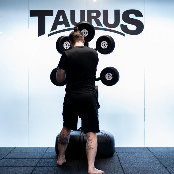 Taurus Boxing Punch Bag Target Tree