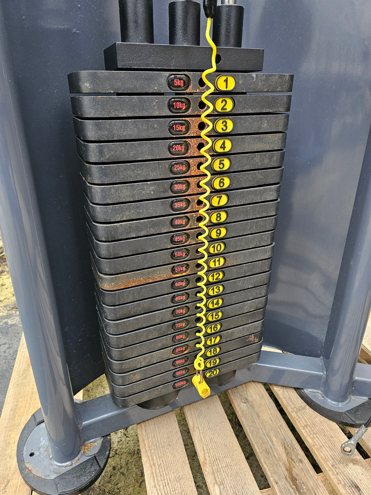 Indigo Fitness R2 Inclusive Seated Row - Complete Gyms