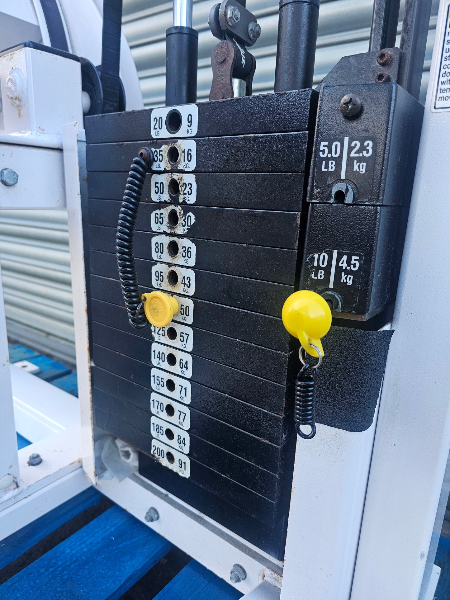 Nautilus Nitro Seated Leg Curl