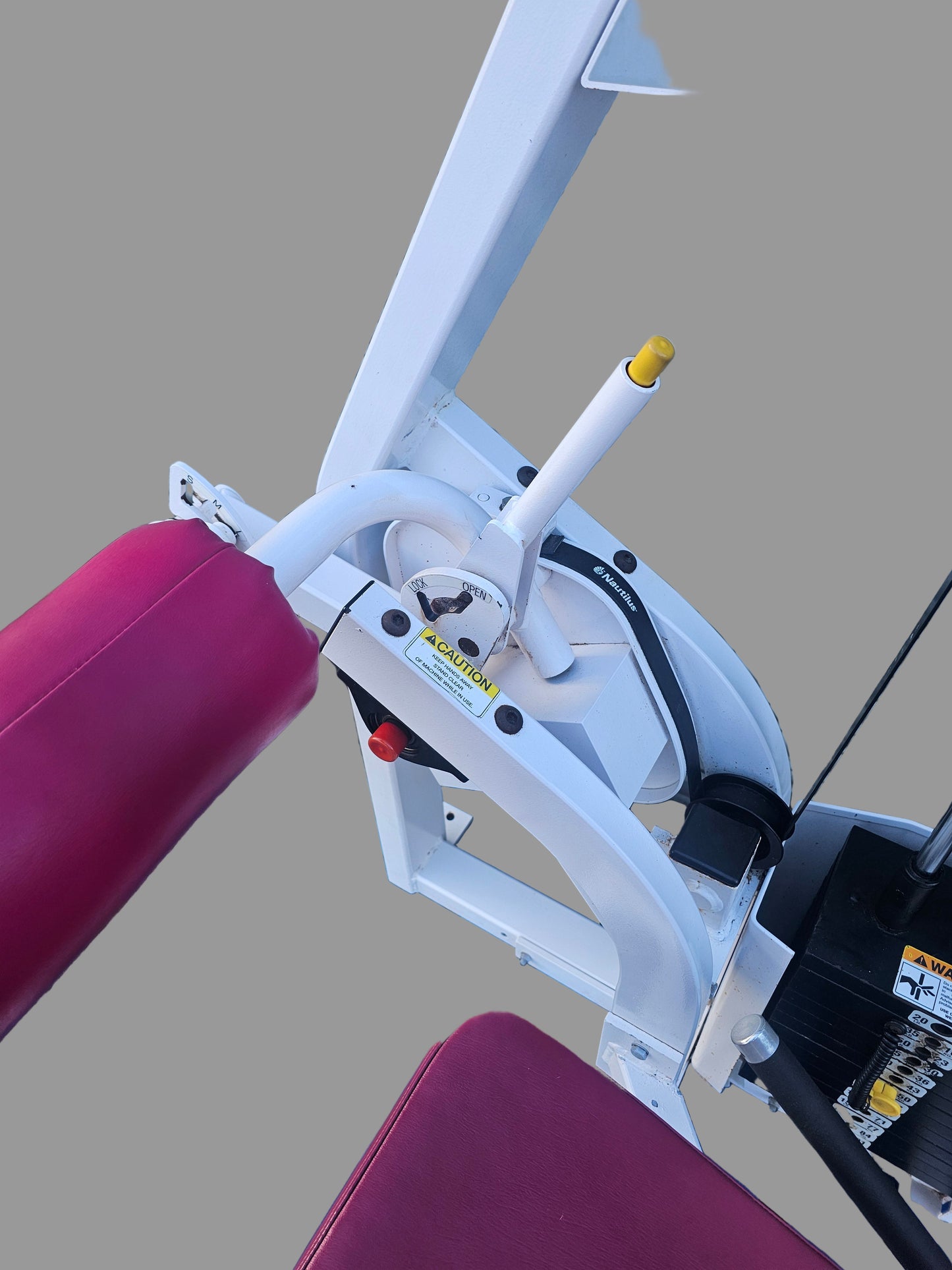 Nautilus Nitro Seated Leg Curl