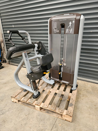 Precor Tricep Extension Discovery Range