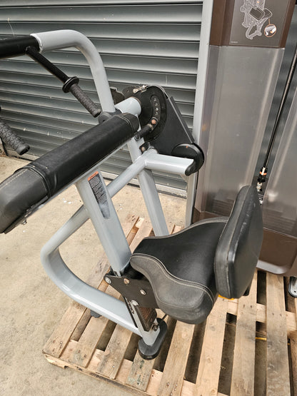 Precor Tricep Extension Discovery Range