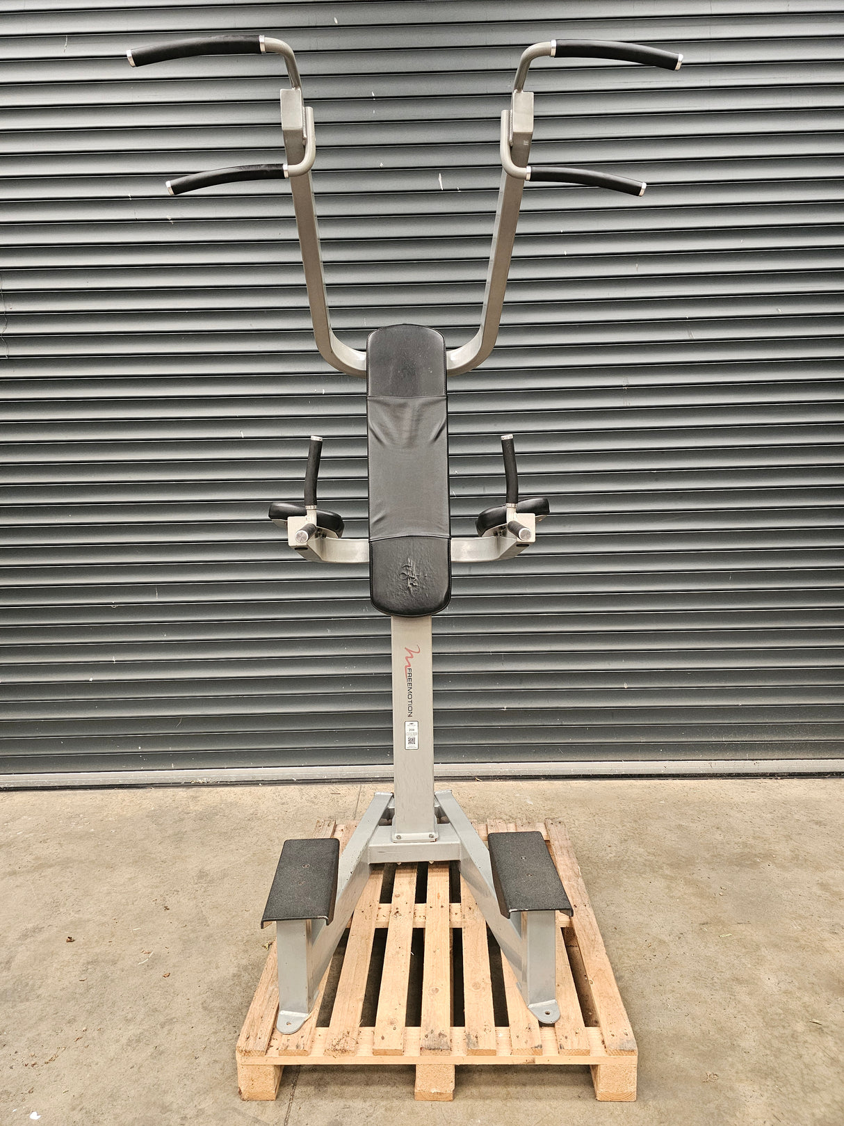 Freemotion Chin/Dip and Leg Raise