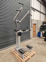 Freemotion Chin/Dip and Leg Raise