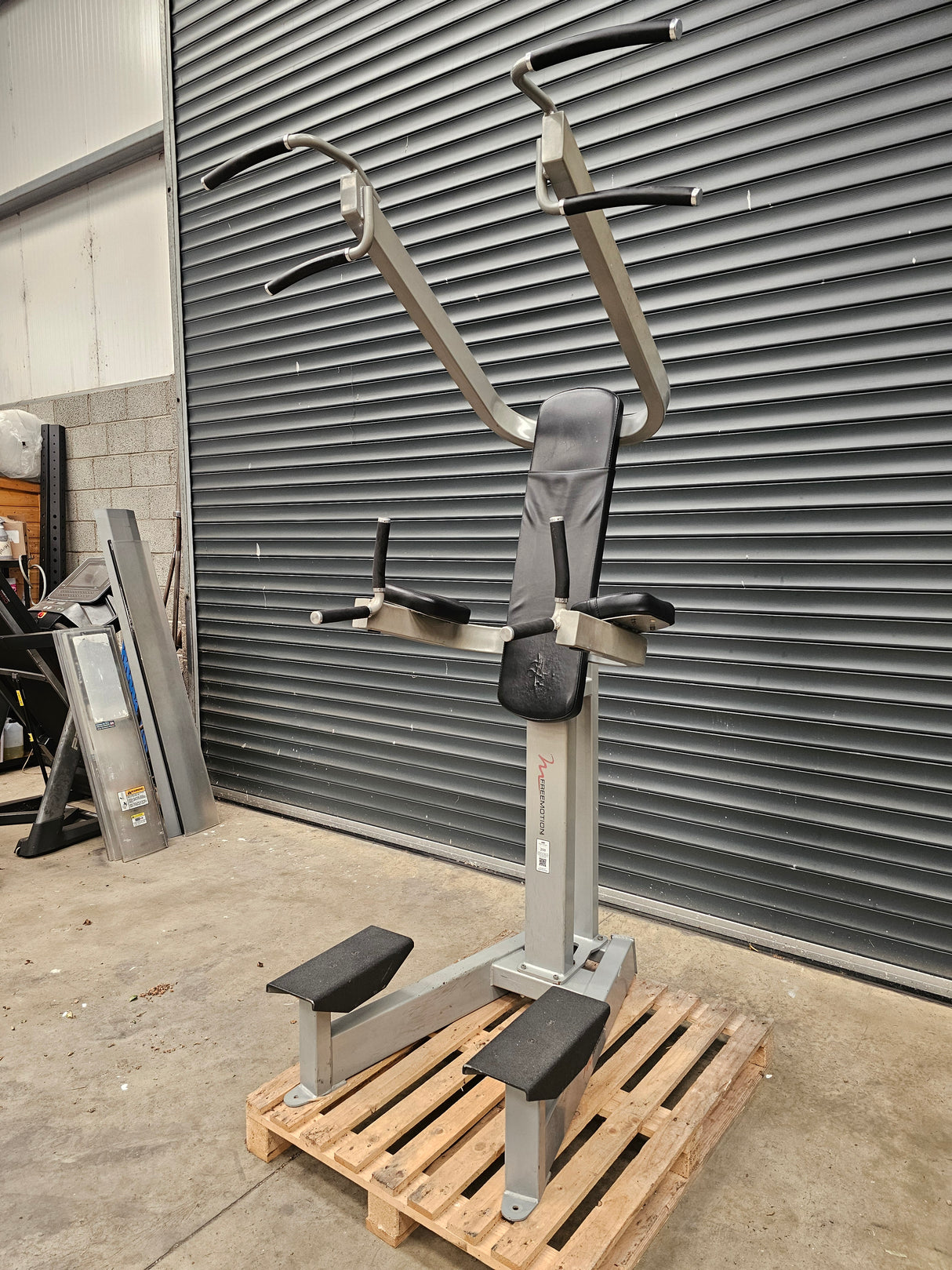 Freemotion Chin/Dip and Leg Raise