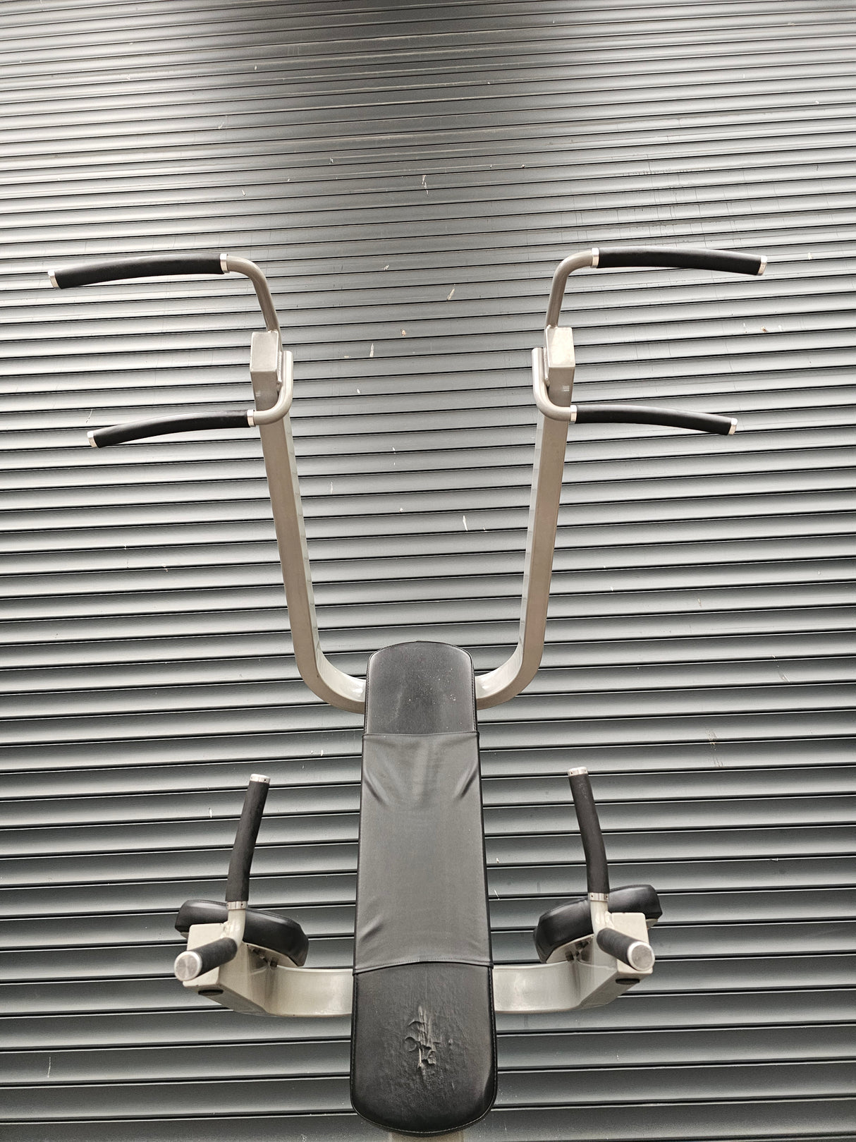 Freemotion Chin/Dip and Leg Raise
