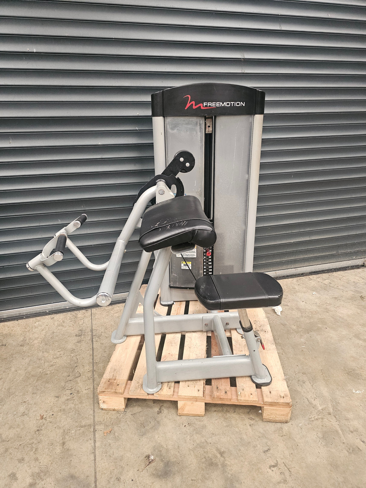 Freemotion Bicep Curl
