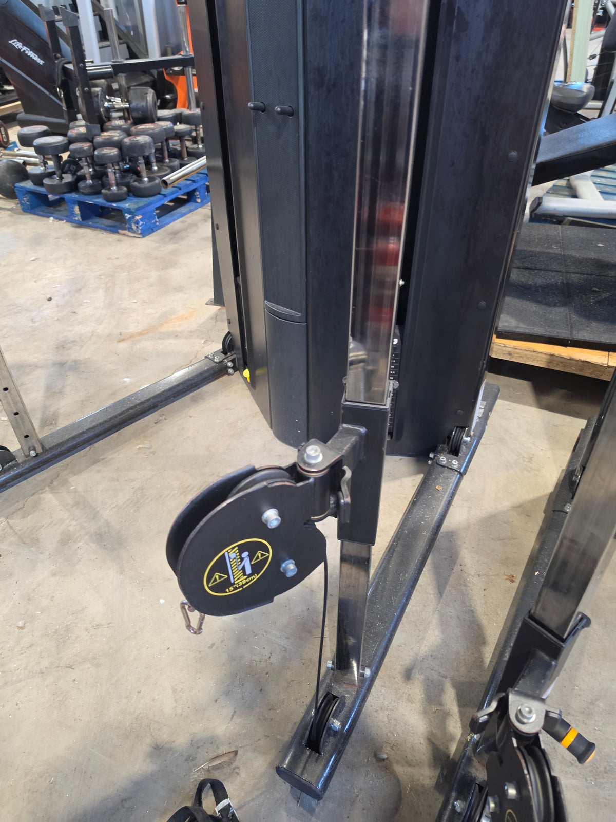 Life Fitness Axiom Dual Adjustable Pulley