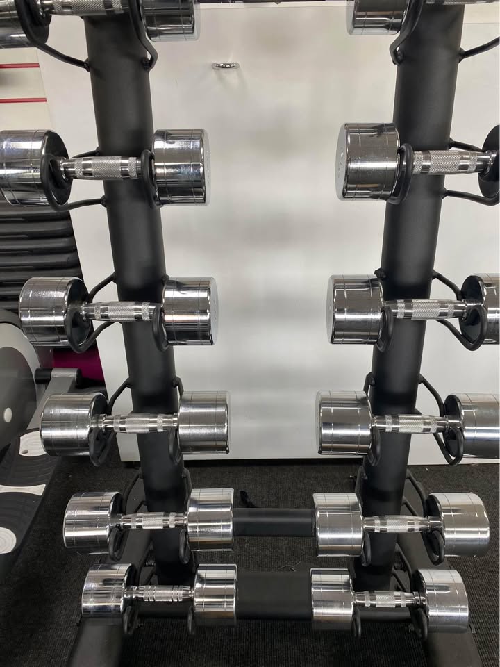 Chrome Dumbbell Set 1-10kg