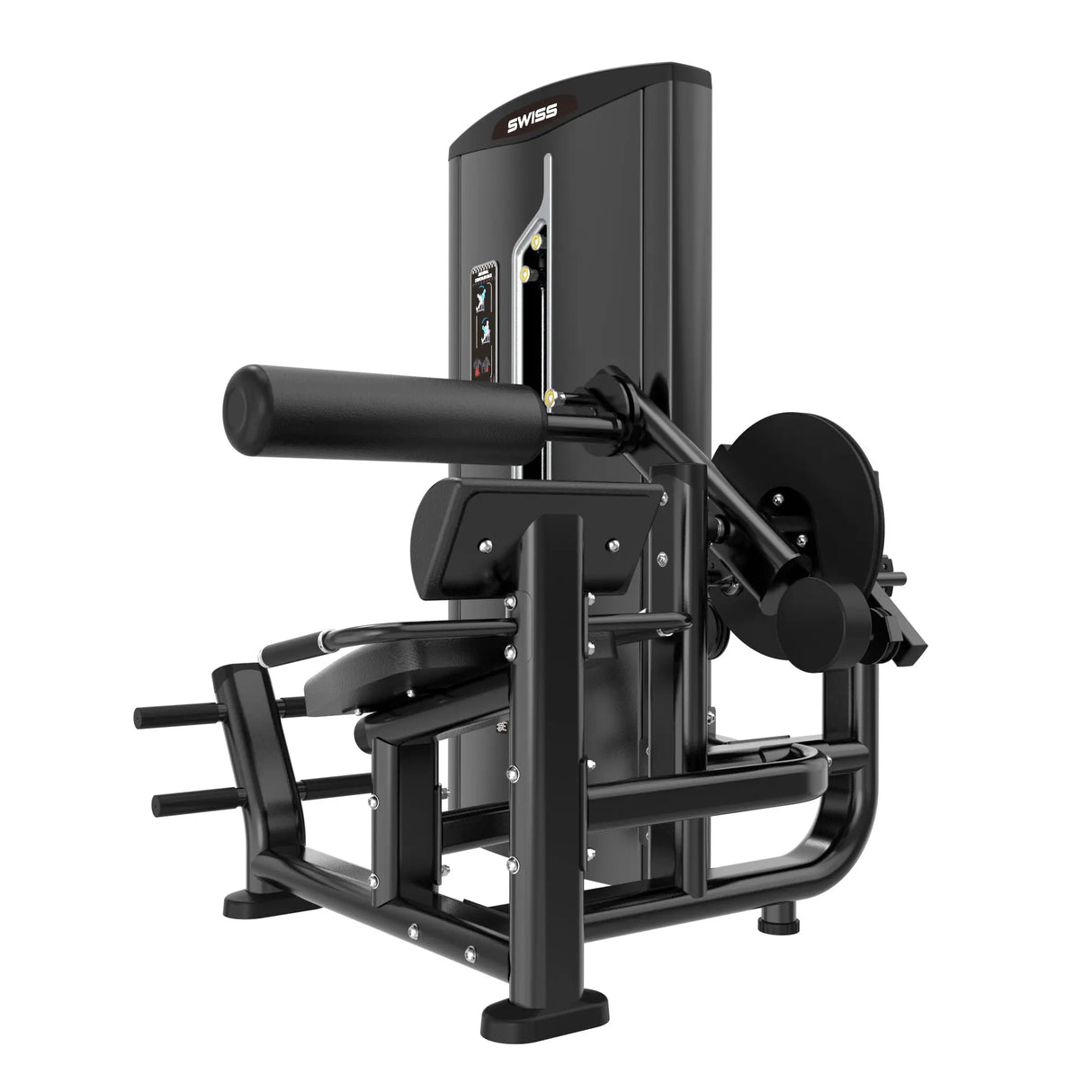 Swiss Ab Crunch/Low Back