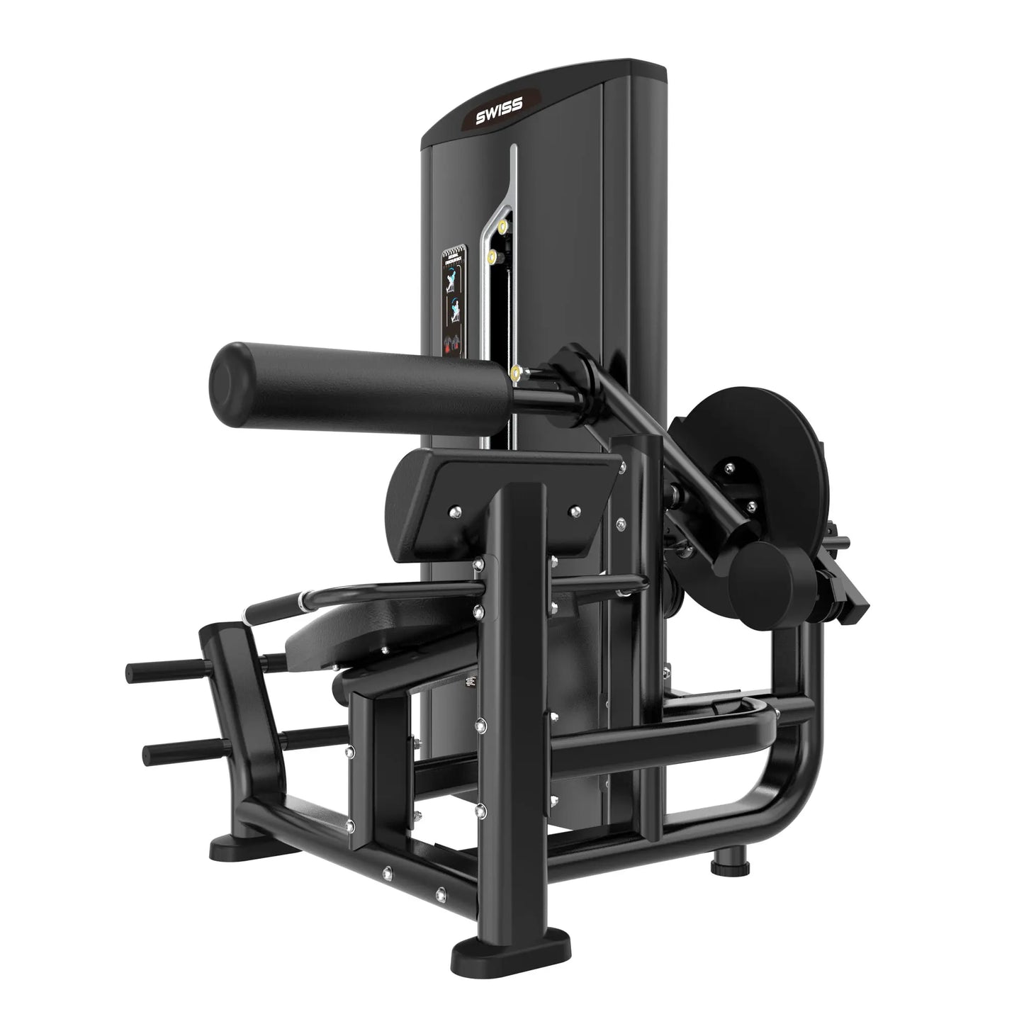 Swiss Ab Crunch/Low Back