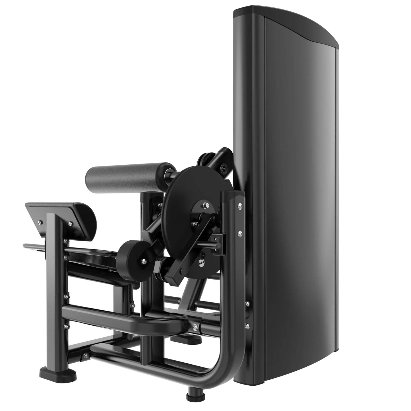 Swiss Ab Crunch/Low Back