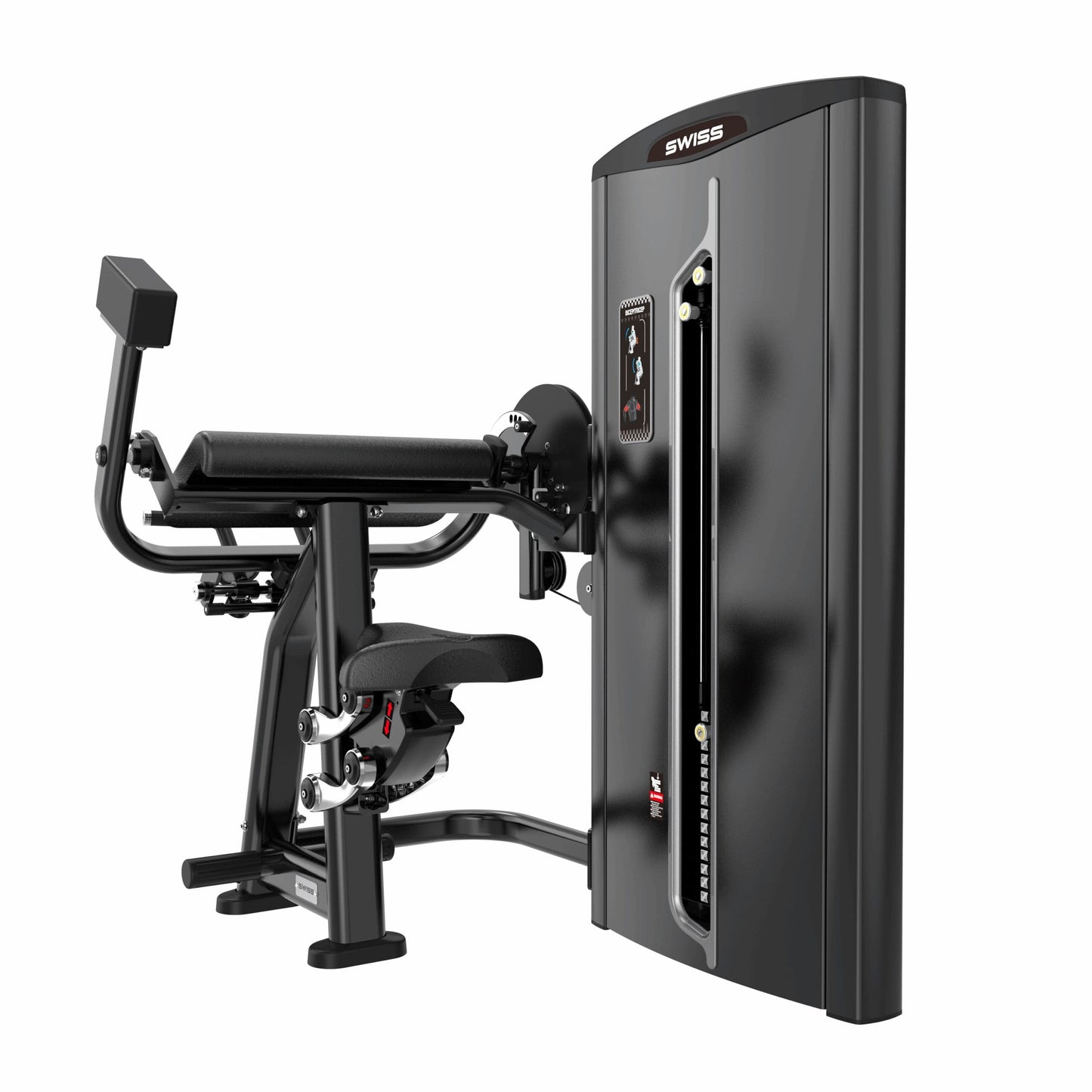 Swiss Barbell Bicep Curl / Tricep Press