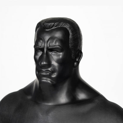 Bodymax Torso Boxing Man