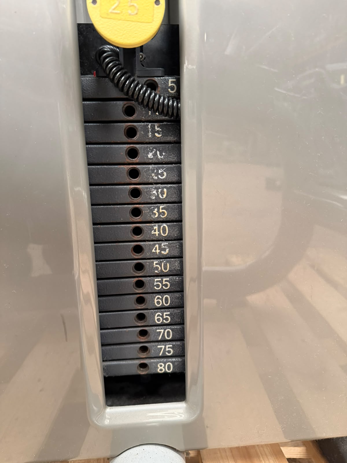 Technogym Element Leg Curl