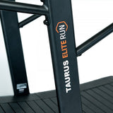 Taurus Elite Run Curved Treadmill