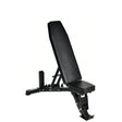 swiss weights bench
