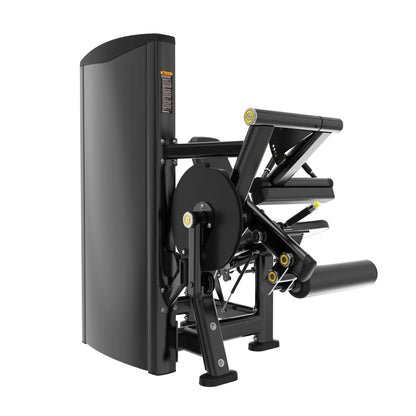 Swiss Leg Curl/Leg Extension