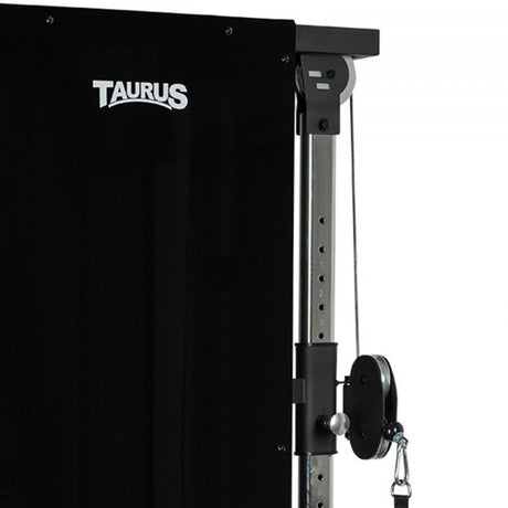 Taurus Design Line Dual Pulley 90kg - Complete Gyms