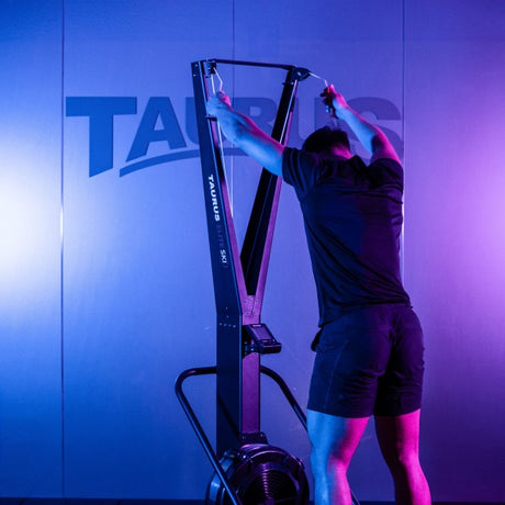 taurus gym equipment